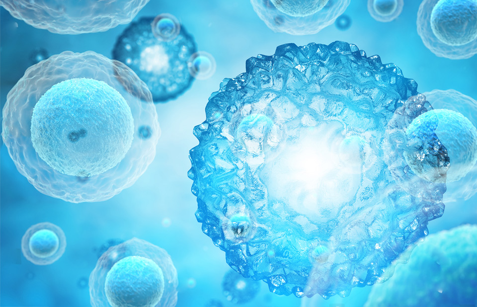 幹細胞臨床研究應用服務