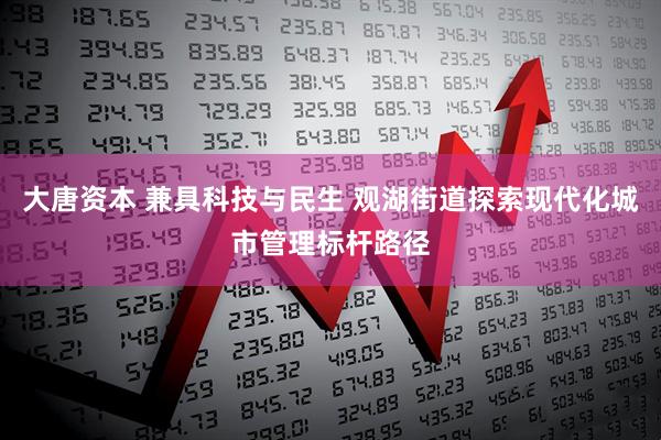 大唐资本 兼具科技与民生 观湖街道探索现代化城市管理标杆路径