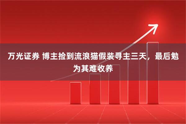 万光证券 博主捡到流浪猫假装寻主三天，最后勉为其难收养